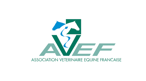 AVEF congress Equus Dental Harmony
